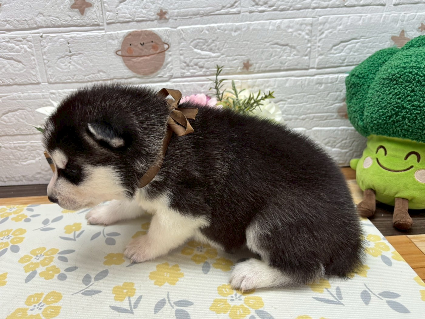 赤ちゃん写真2-2