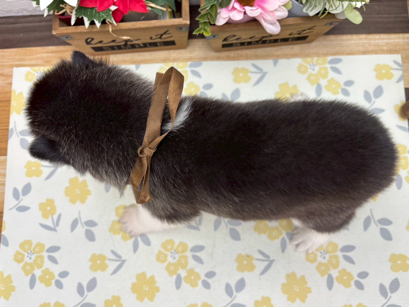 赤ちゃん写真2-3