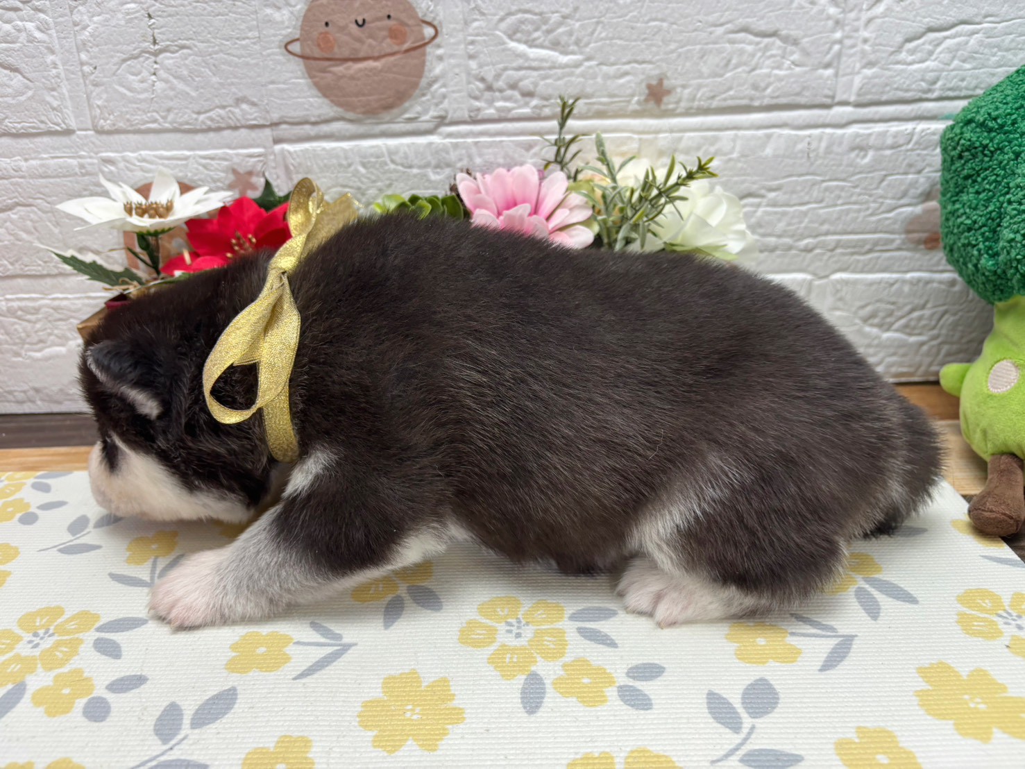赤ちゃん写真2-2