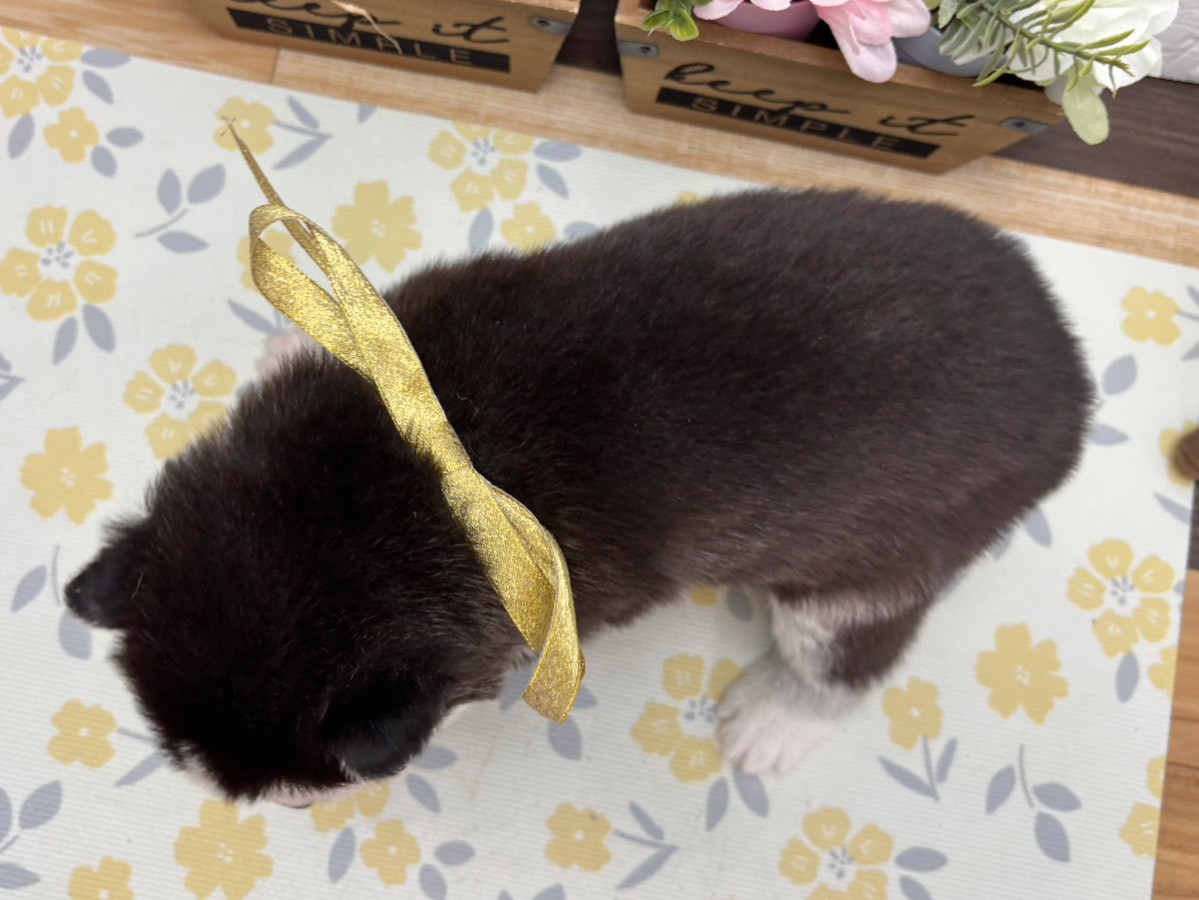 赤ちゃん写真2-3
