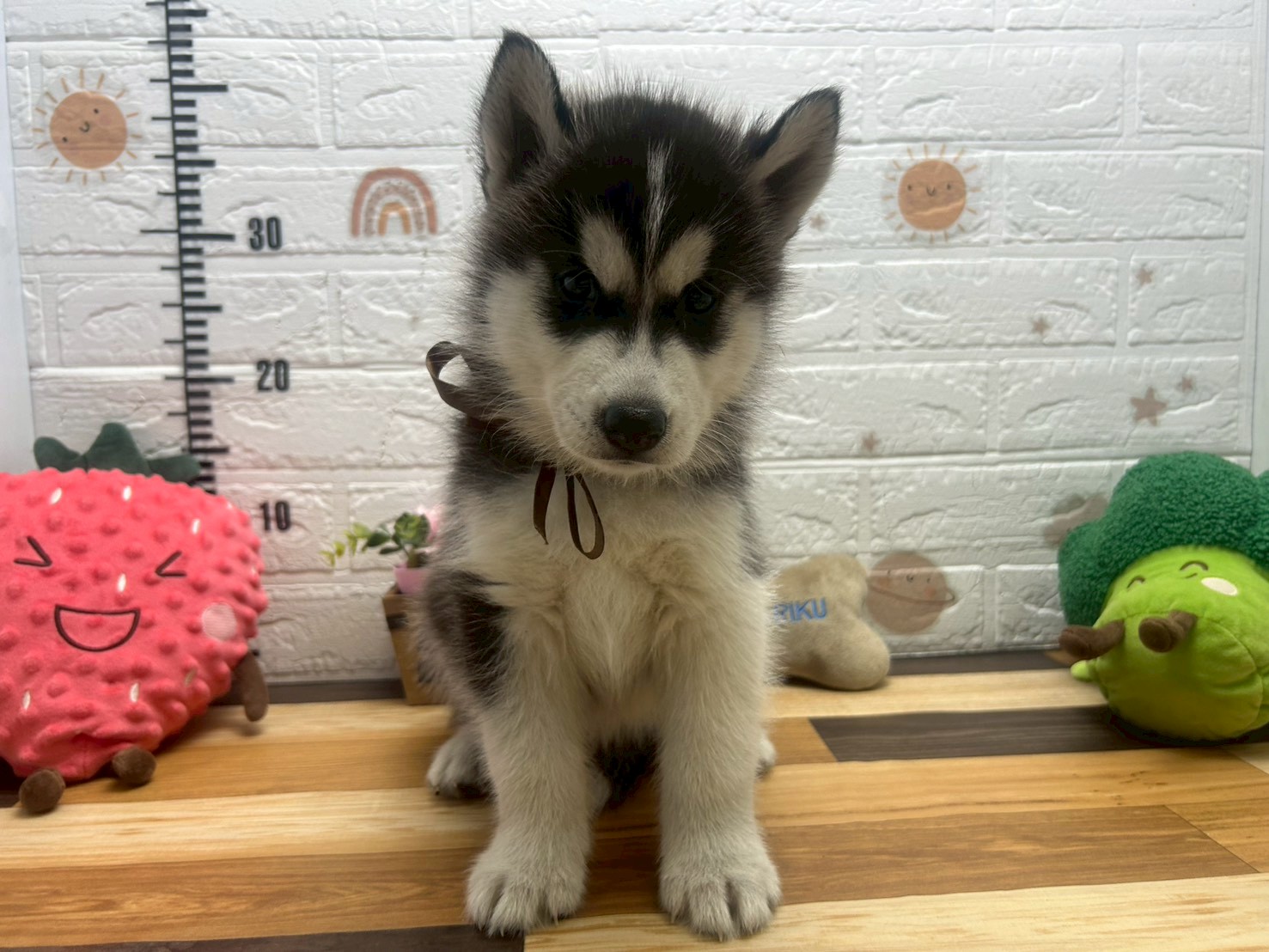 赤ちゃん写真3-1