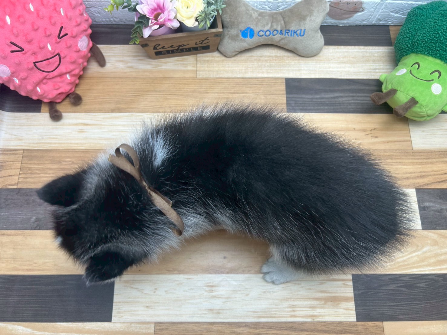 赤ちゃん写真3-2