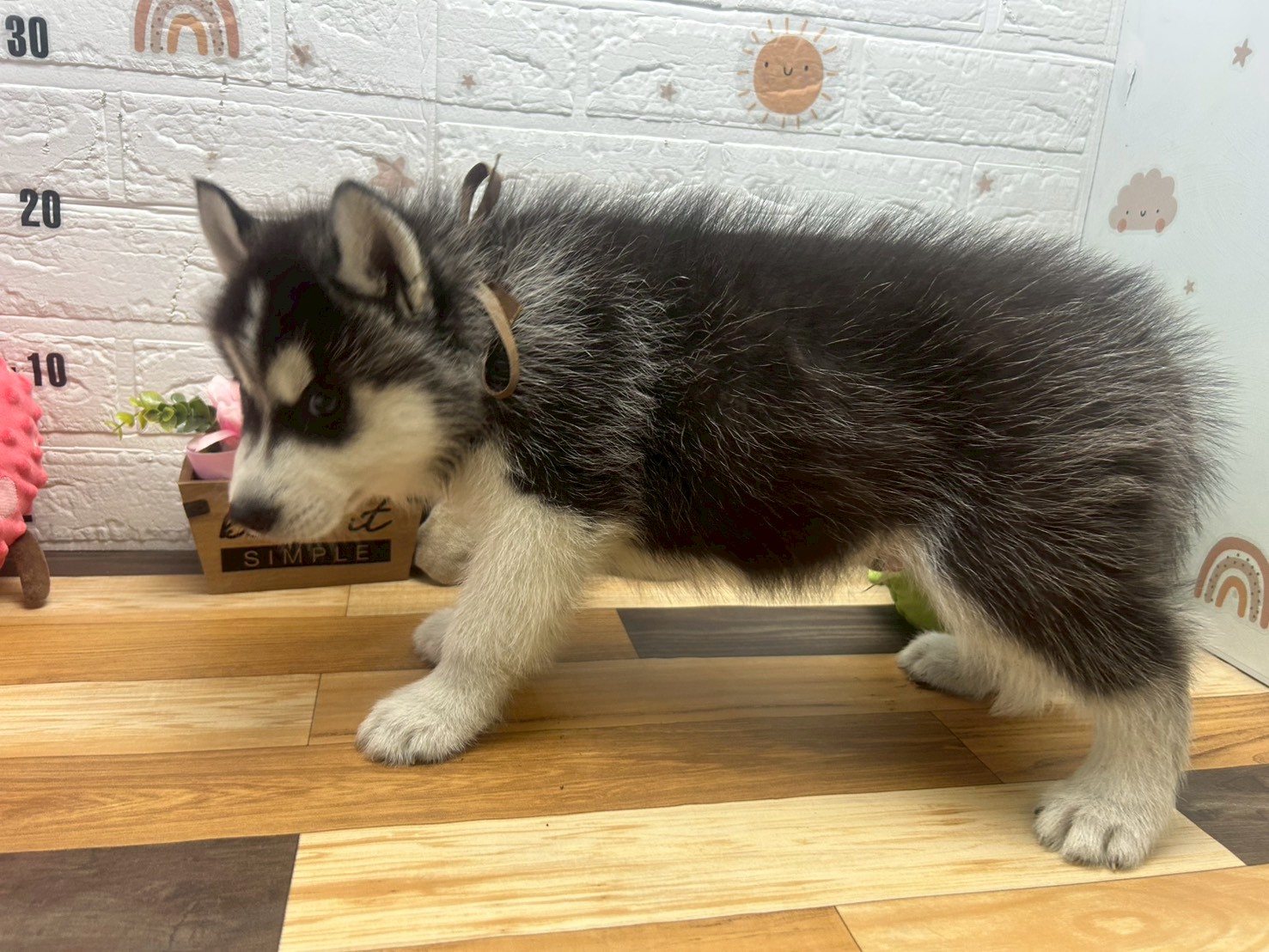 赤ちゃん写真3-3