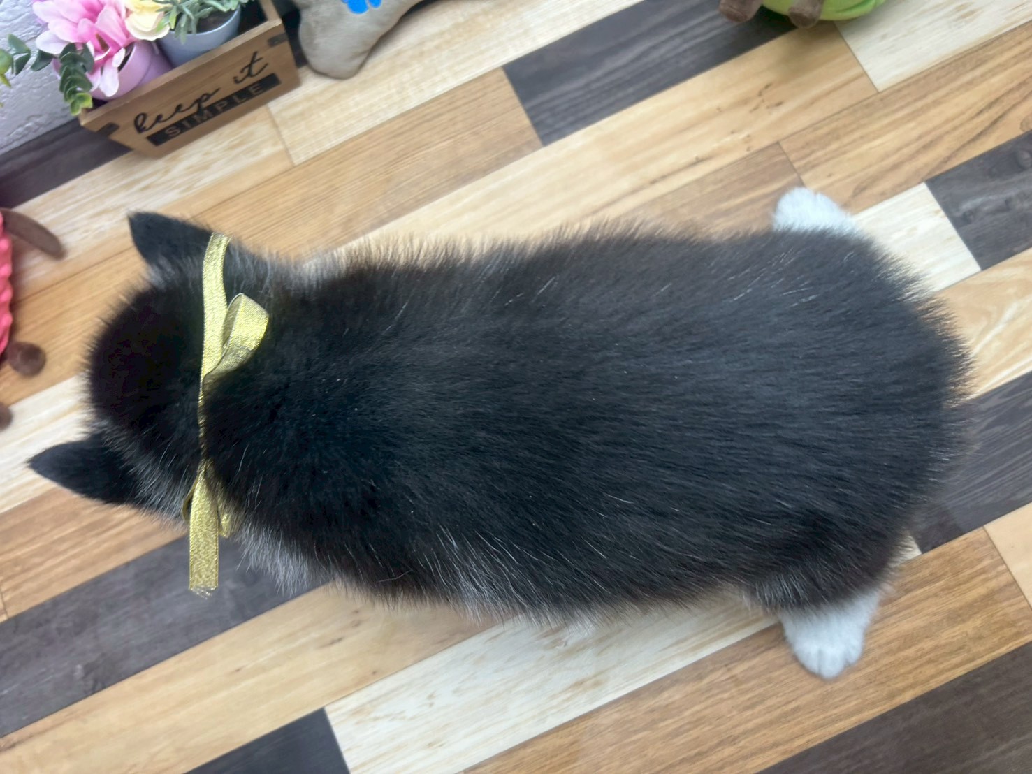 赤ちゃん写真3-3