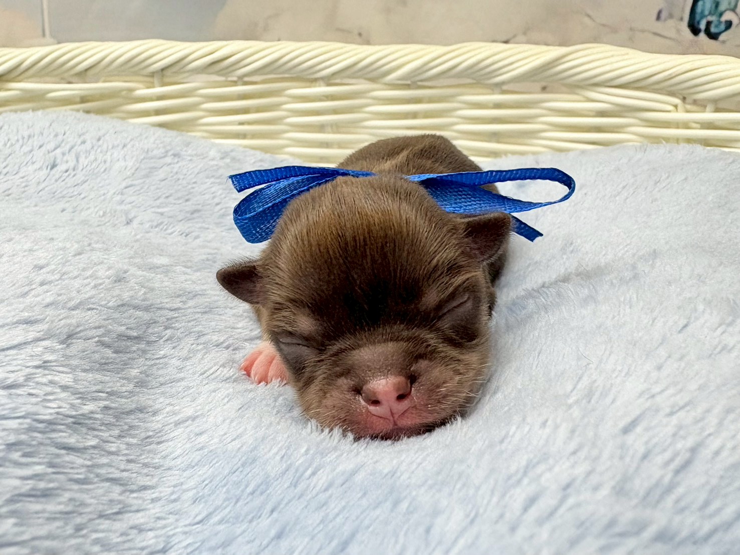 赤ちゃん写真1-1