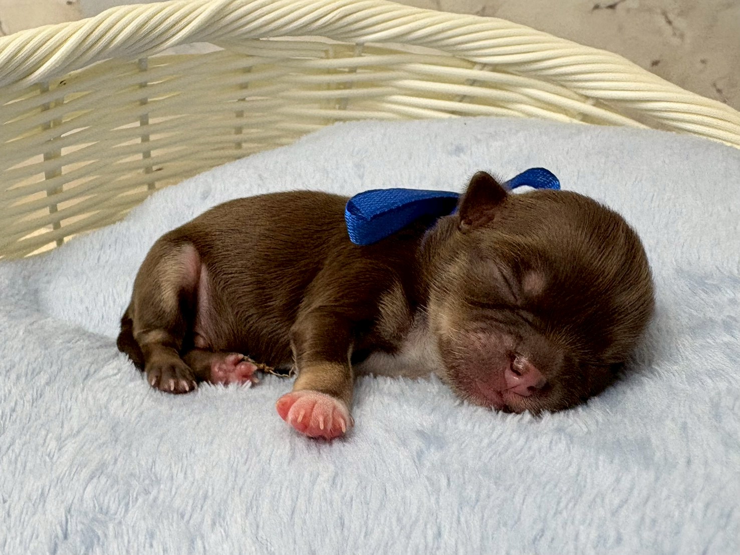 赤ちゃん写真1-2