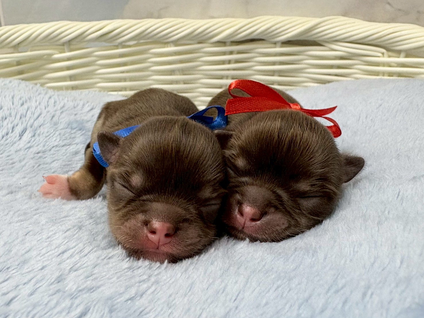 赤ちゃん写真1-3