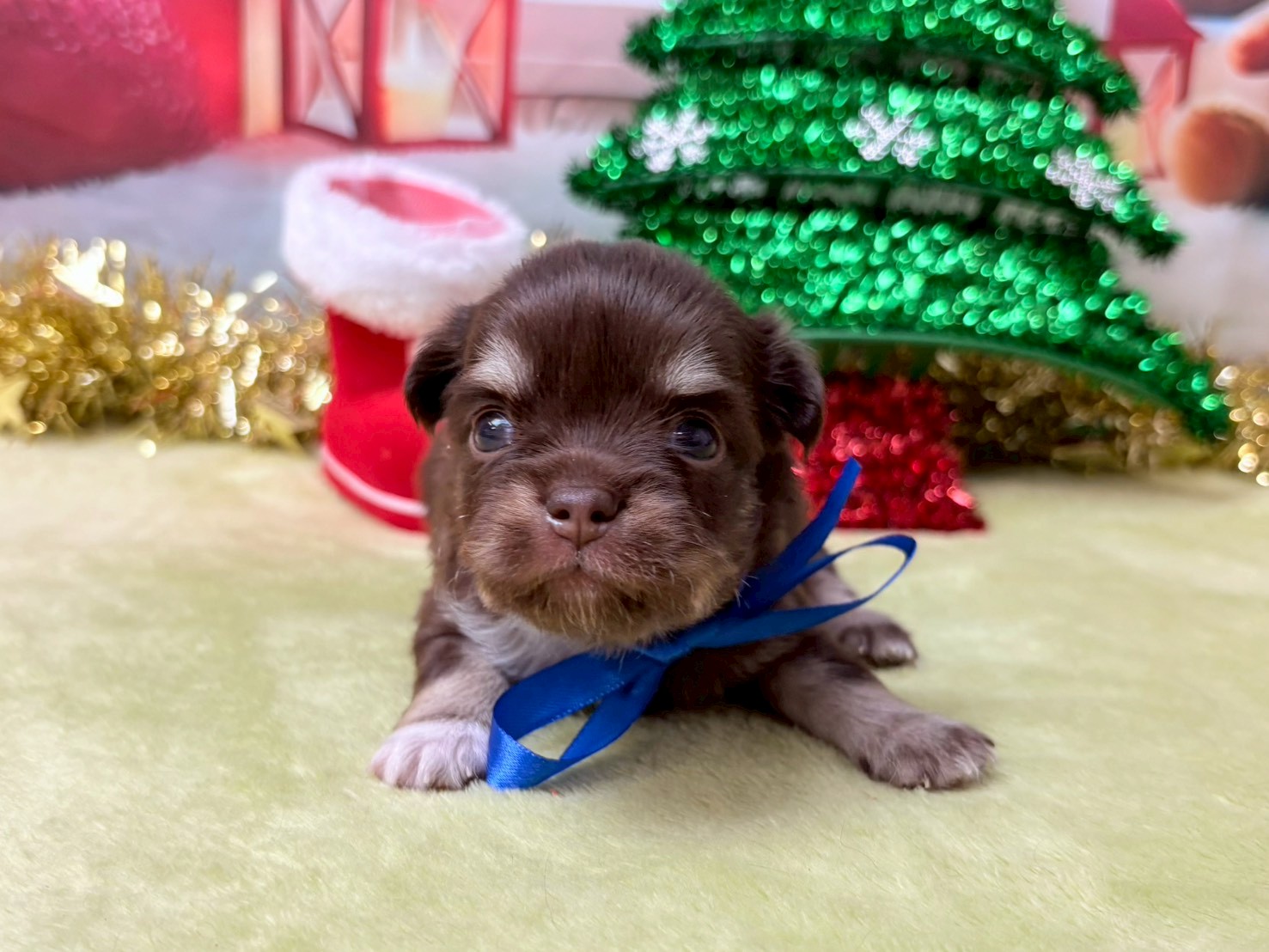 赤ちゃん写真2-1