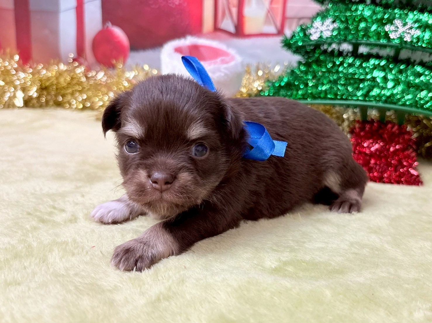 赤ちゃん写真2-2