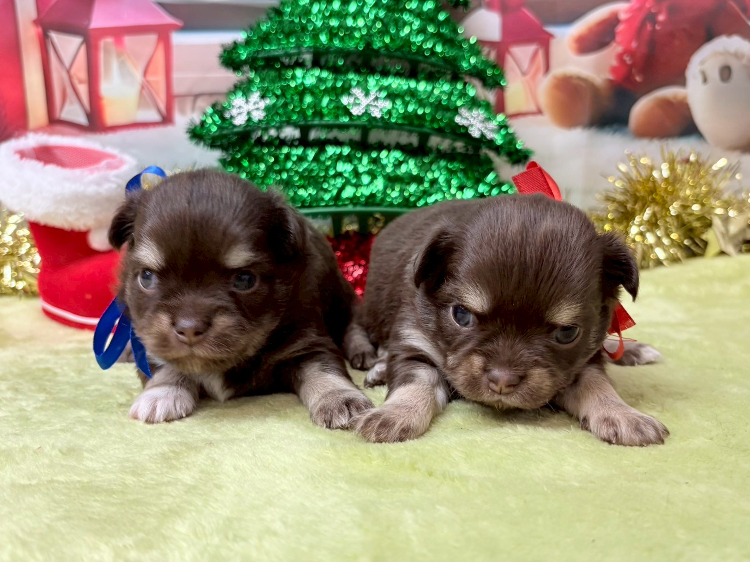 赤ちゃん写真2-3