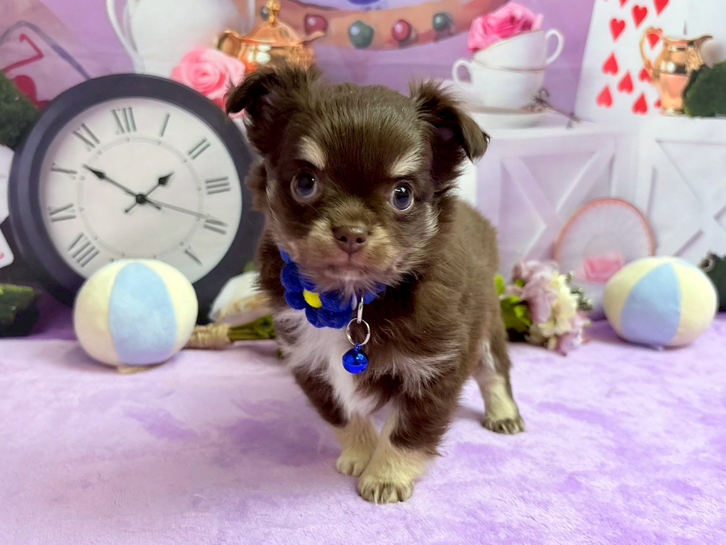 赤ちゃん写真3-1