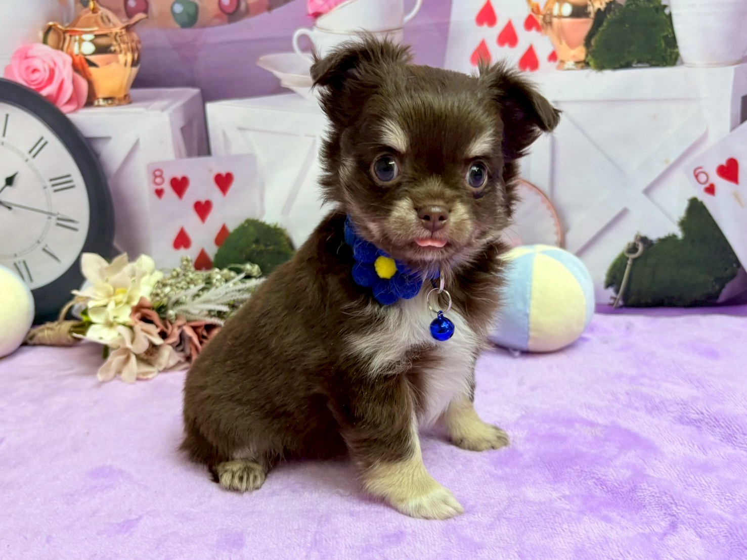 赤ちゃん写真3-2