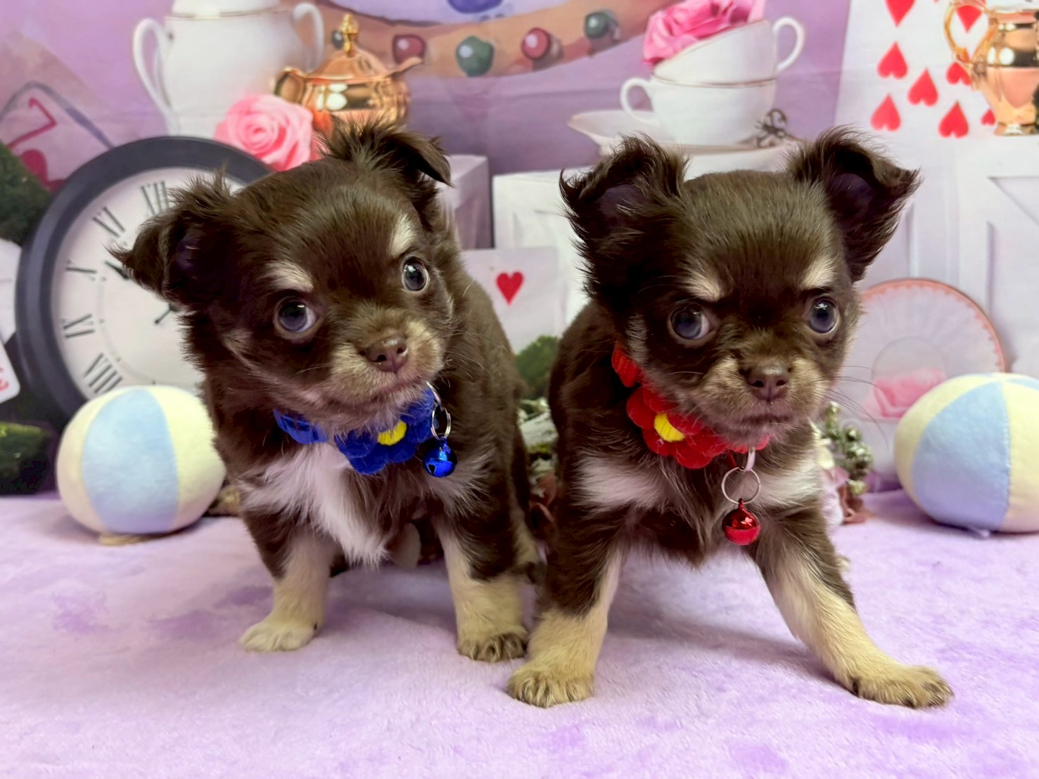 赤ちゃん写真3-3