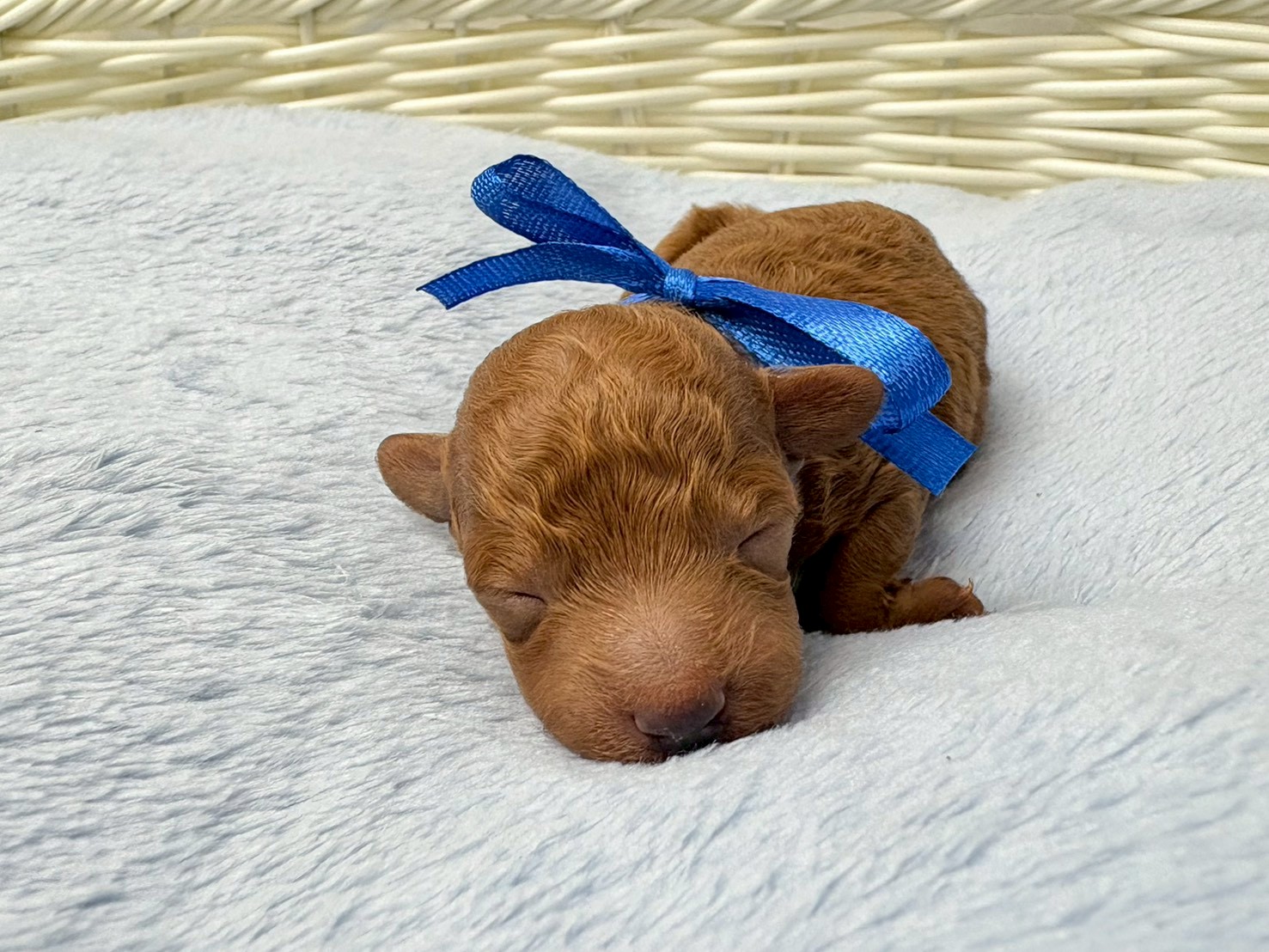 赤ちゃん写真1-1