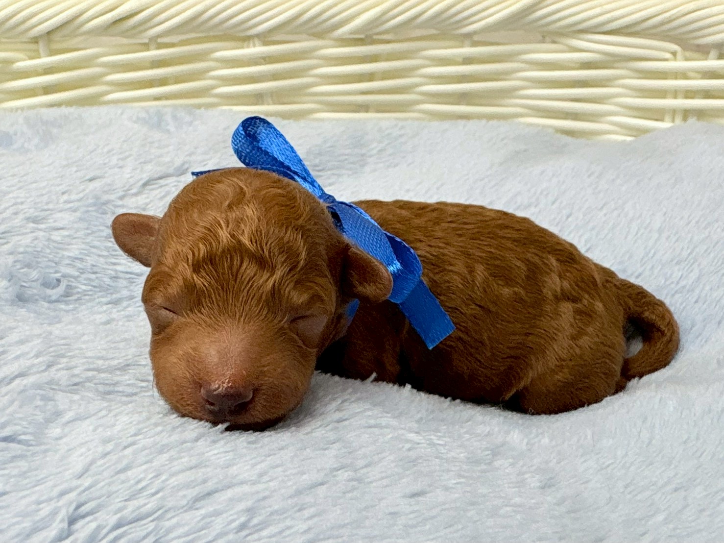 赤ちゃん写真1-2