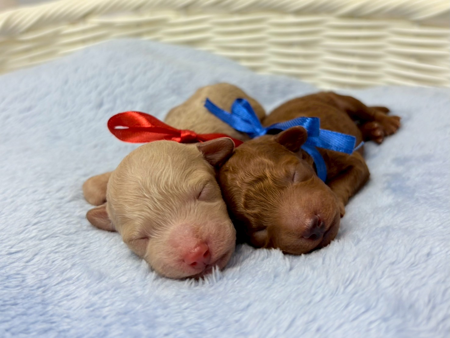 赤ちゃん写真1-3