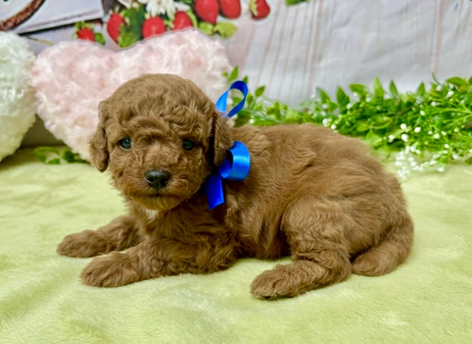 赤ちゃん写真2-2