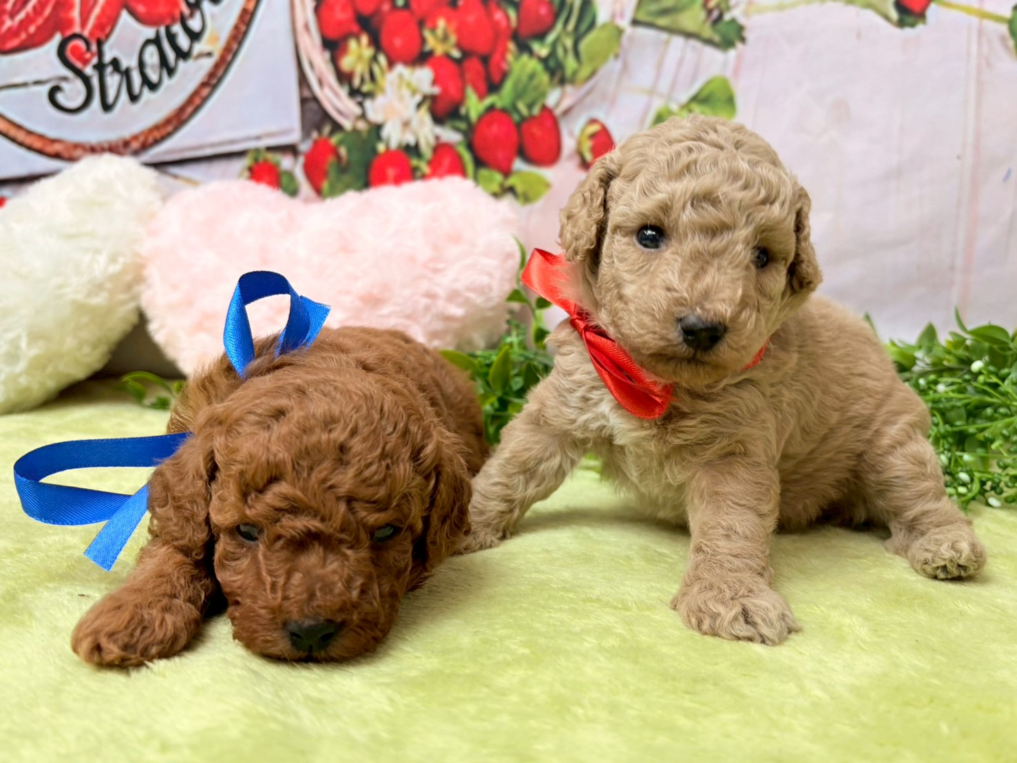 赤ちゃん写真2-3