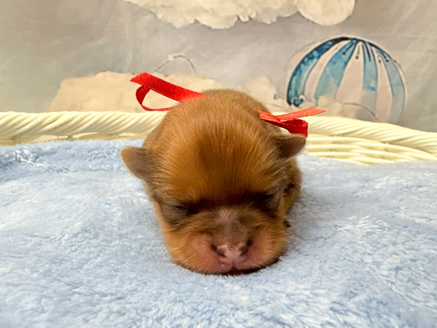 赤ちゃん写真1-1