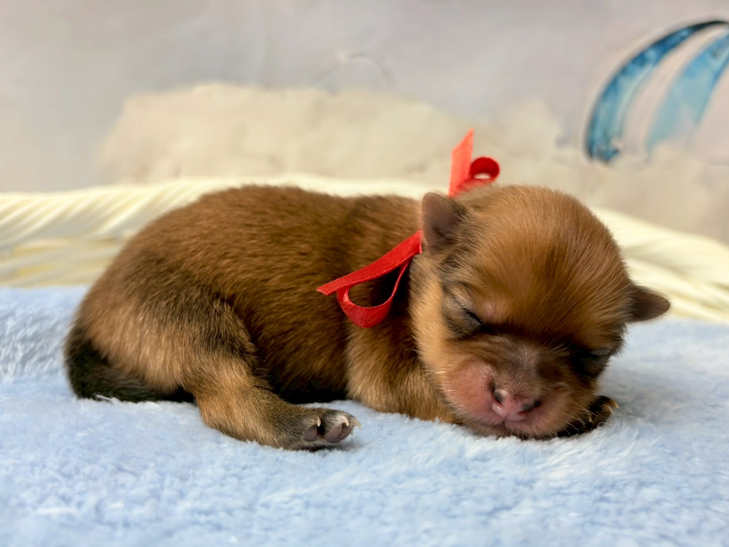 赤ちゃん写真1-2