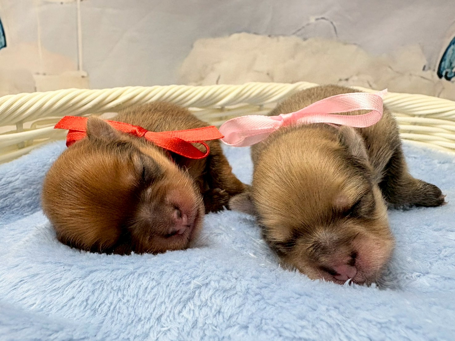 赤ちゃん写真1-3