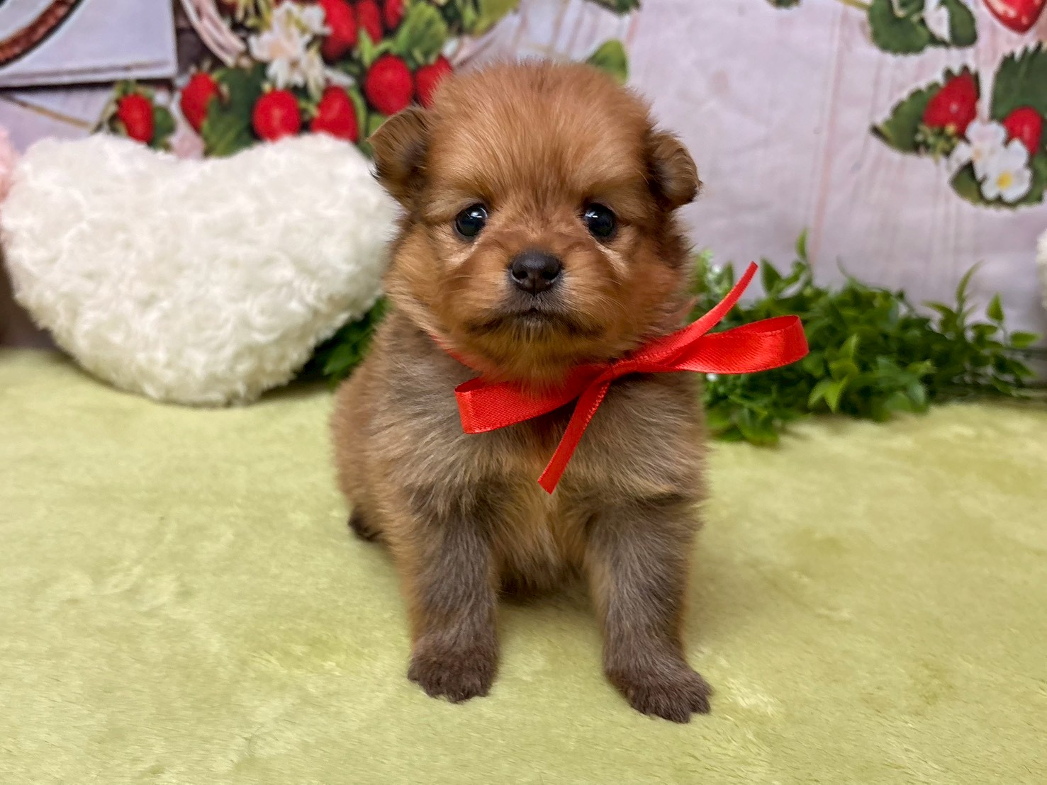 赤ちゃん写真2-1