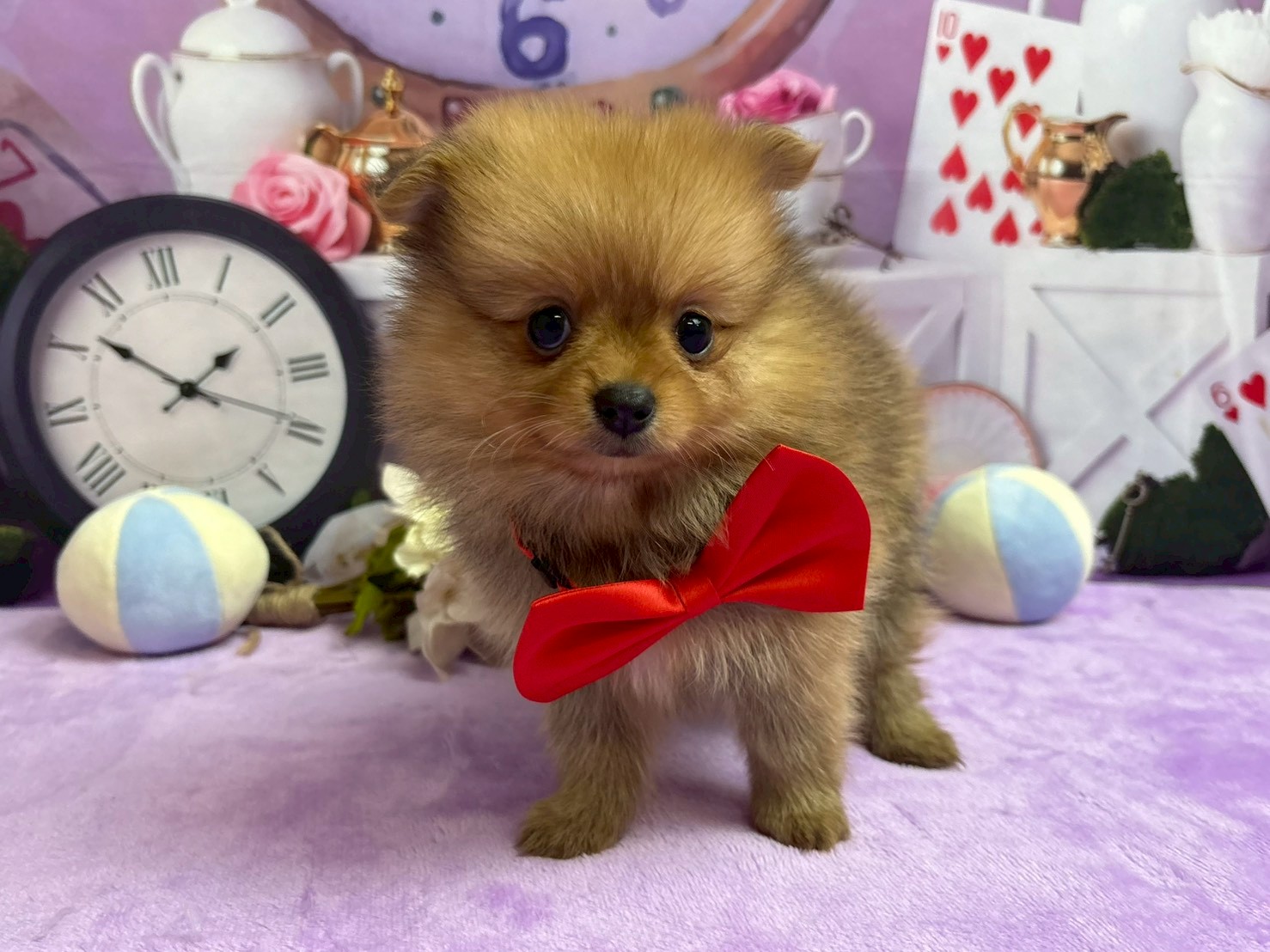 赤ちゃん写真3-1