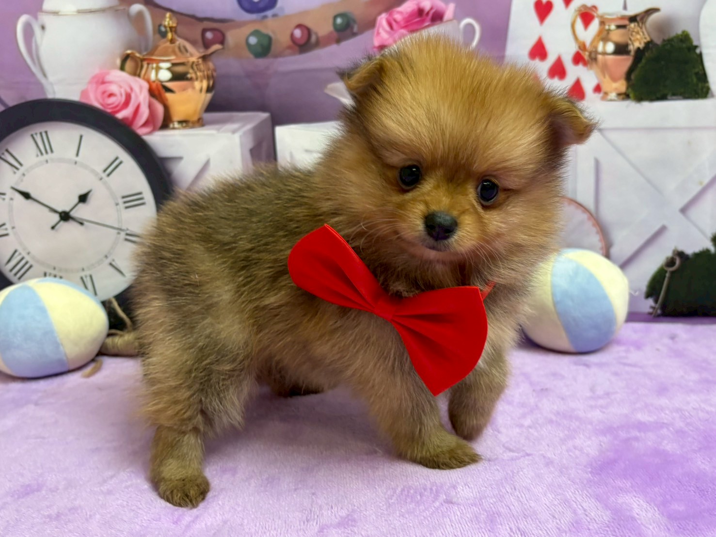 赤ちゃん写真3-2