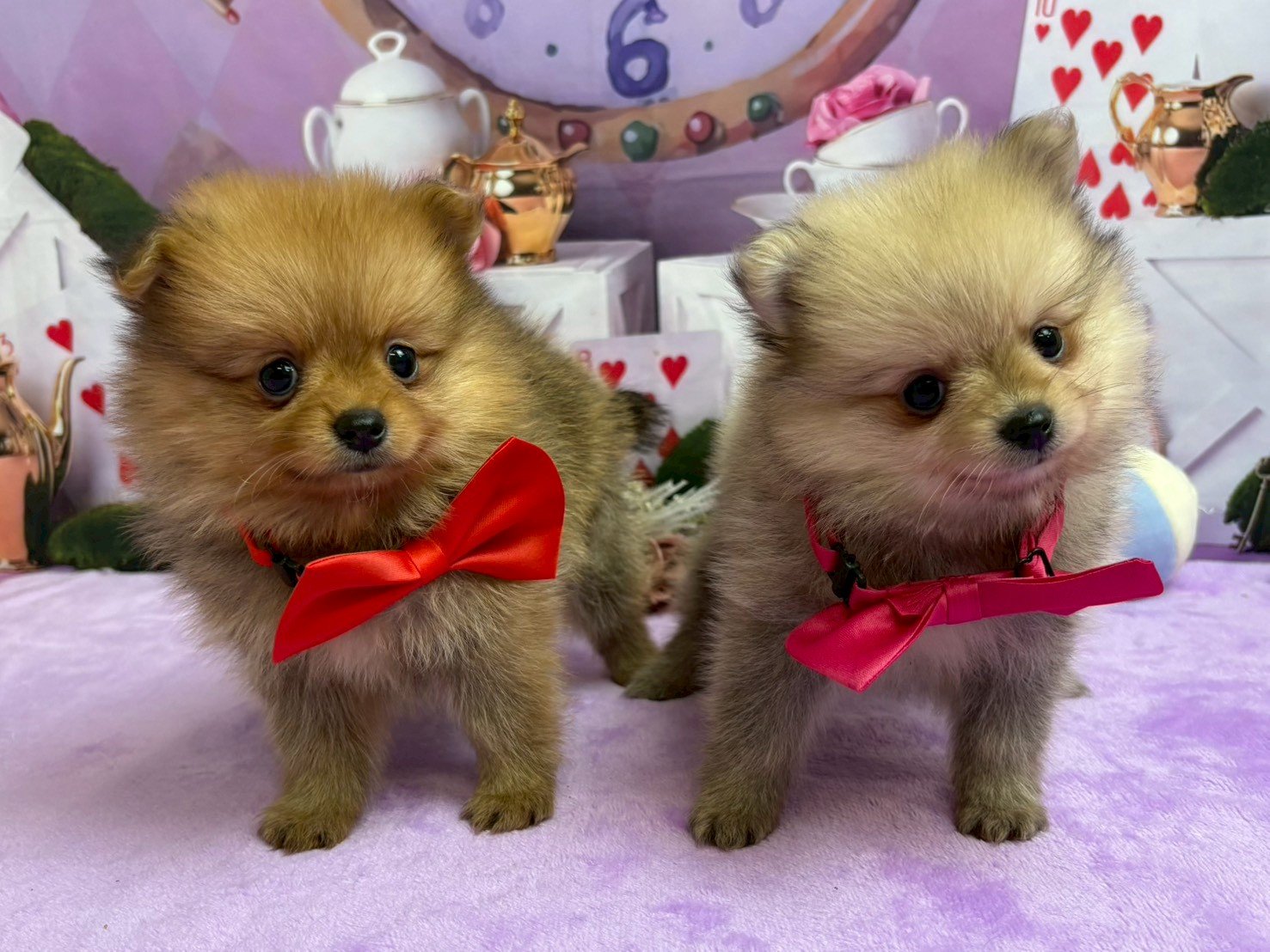 赤ちゃん写真3-3