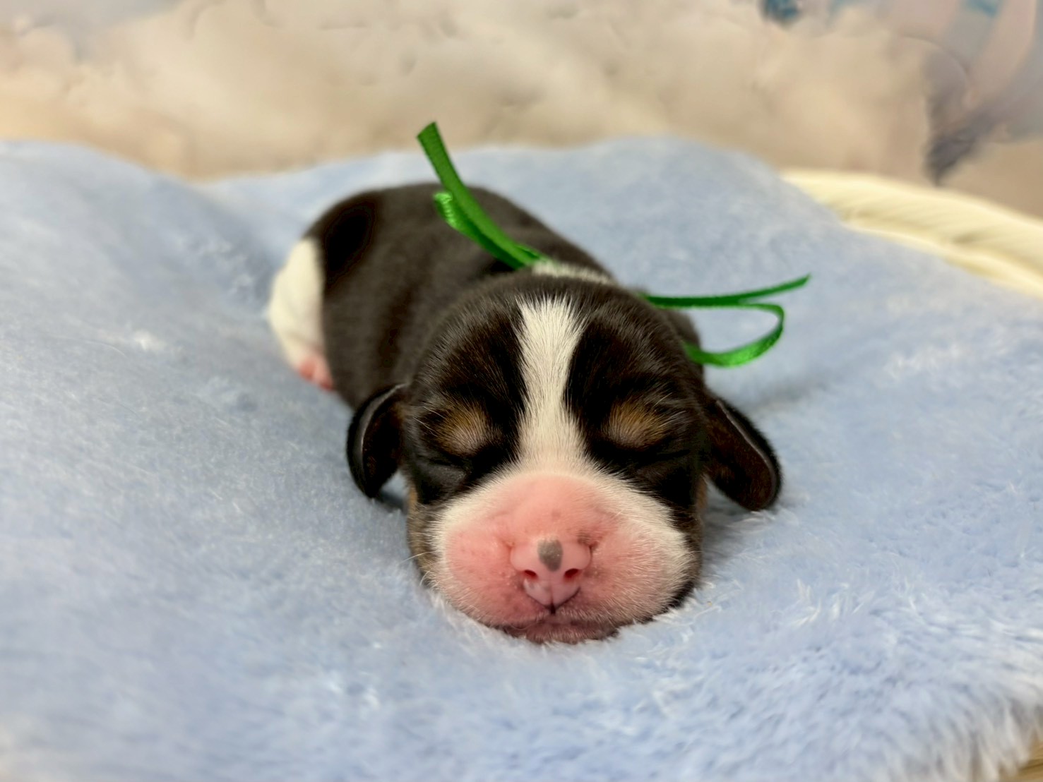 赤ちゃん写真1-1