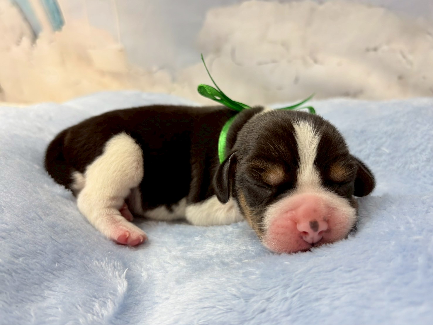 赤ちゃん写真1-2