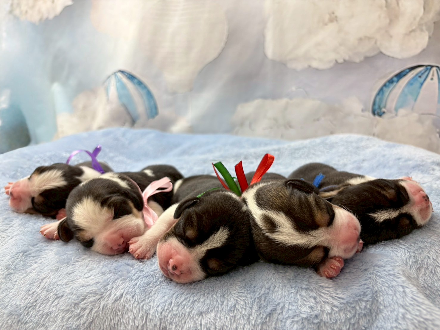 赤ちゃん写真1-3