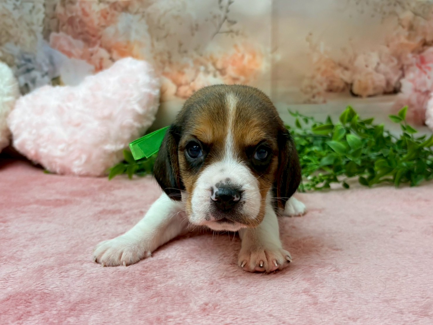 赤ちゃん写真2-1