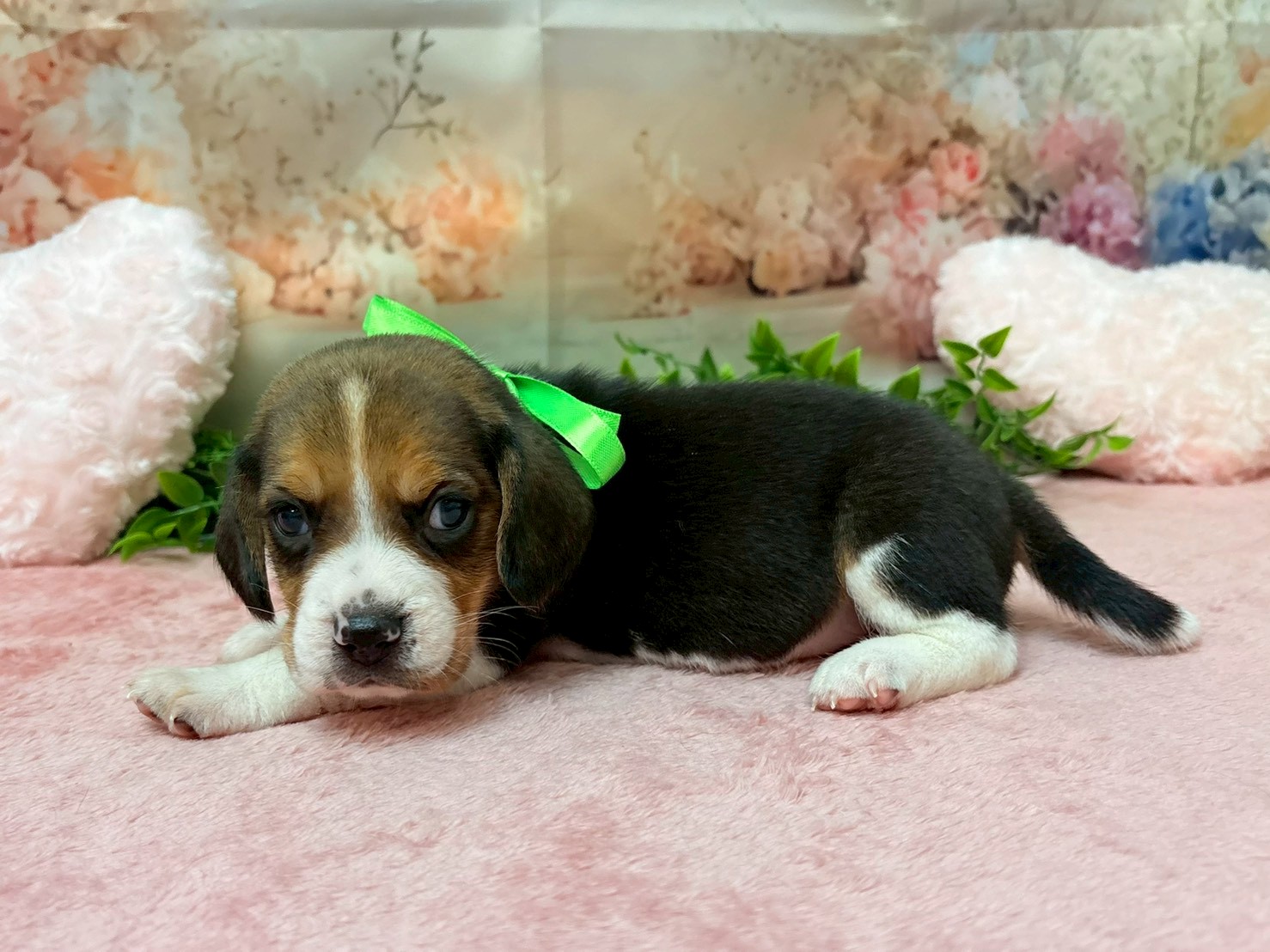 赤ちゃん写真2-2