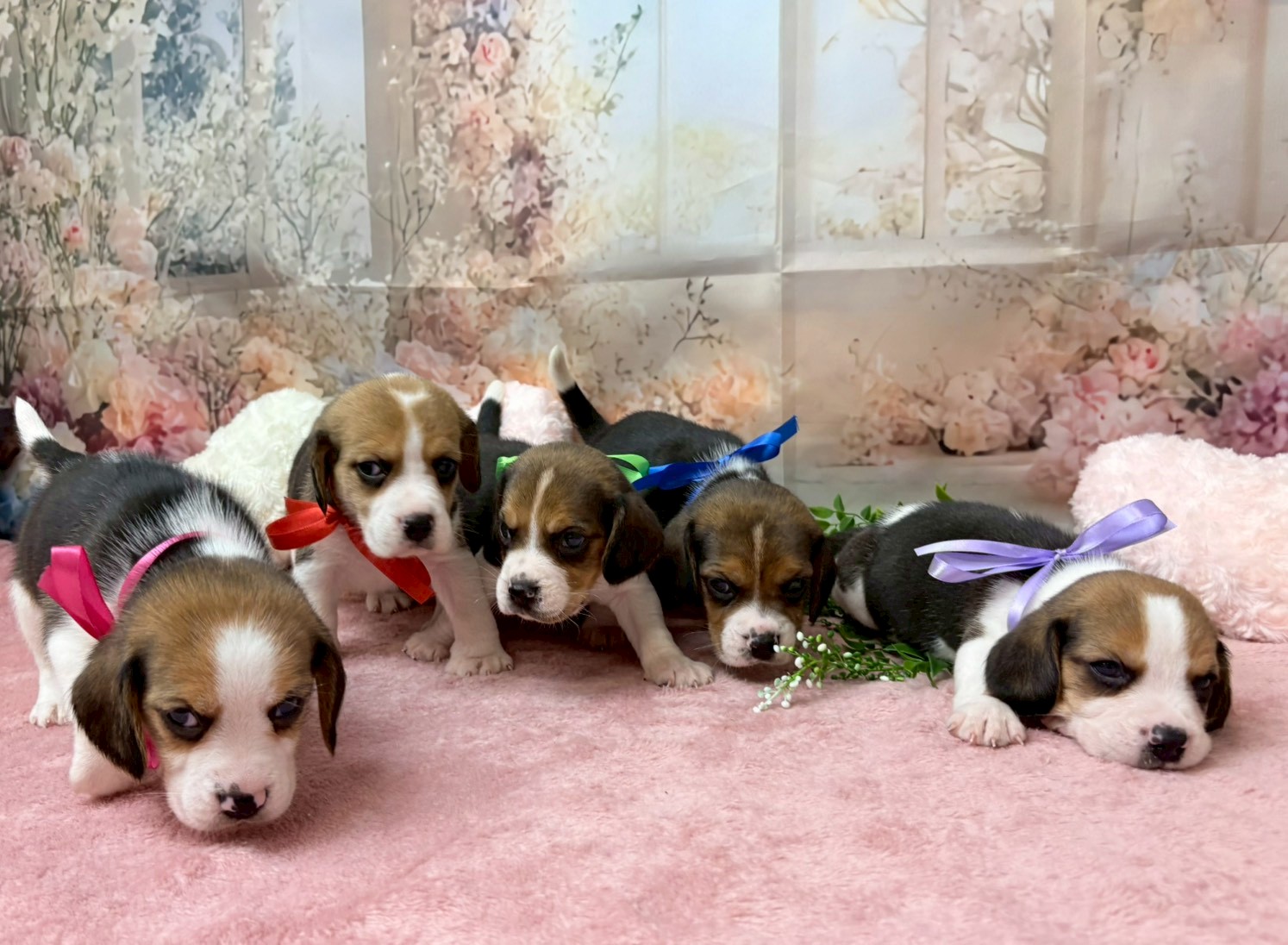 赤ちゃん写真2-3