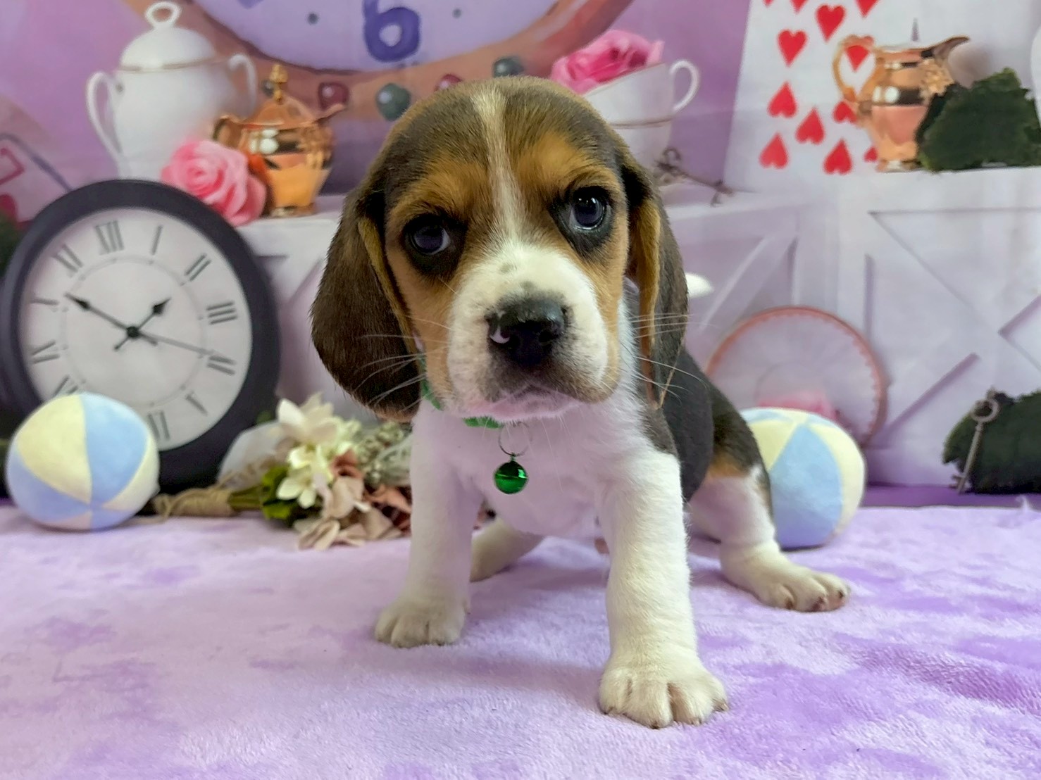 赤ちゃん写真3-1