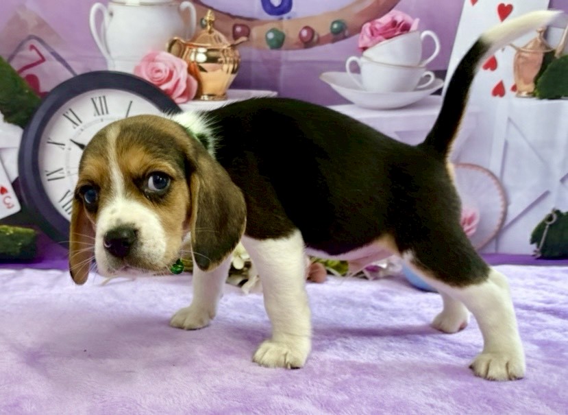 赤ちゃん写真3-2