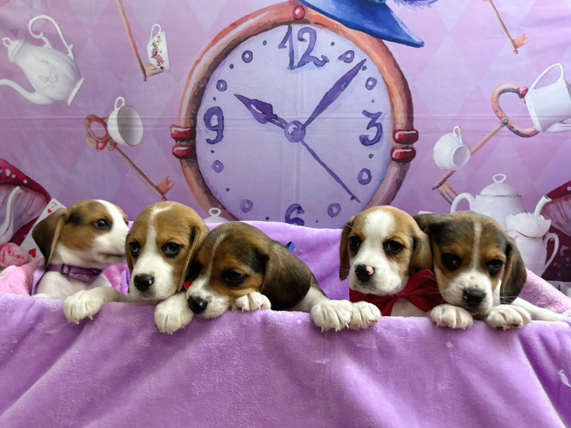 赤ちゃん写真3-3