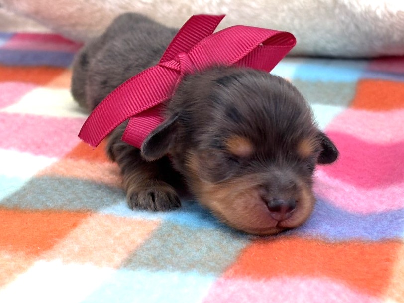 赤ちゃん写真1-1