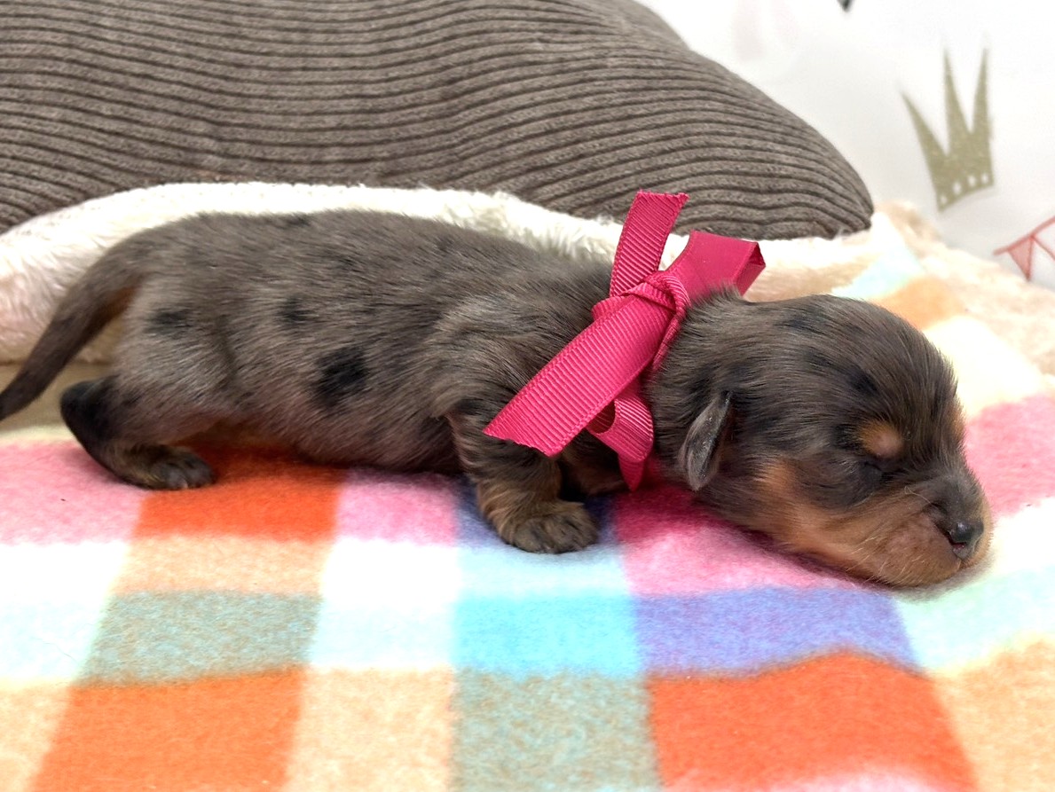 赤ちゃん写真1-2