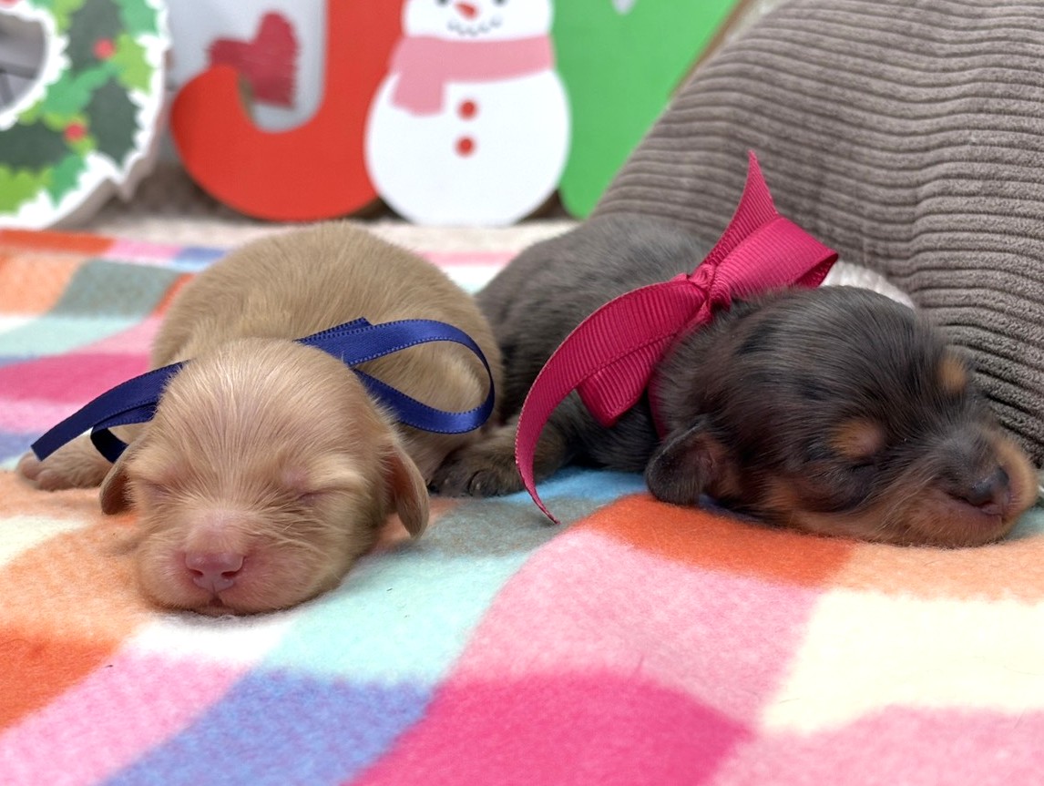 赤ちゃん写真1-3