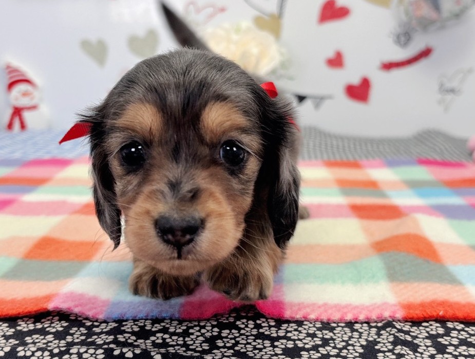 赤ちゃん写真2-1