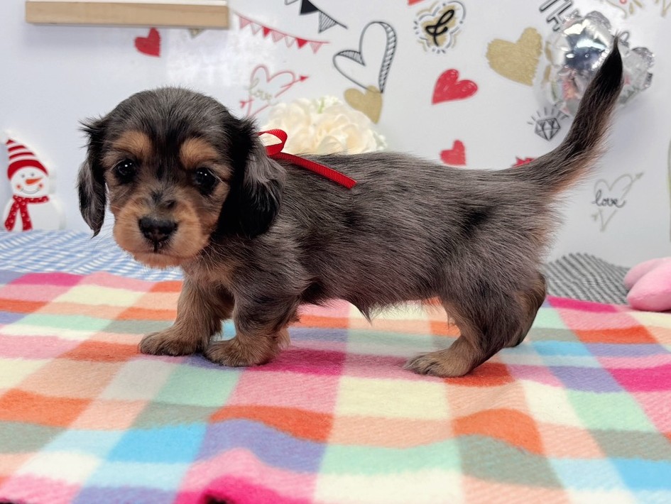 赤ちゃん写真2-2