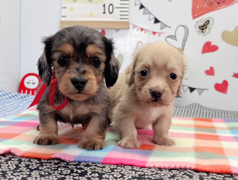 赤ちゃん写真2-3