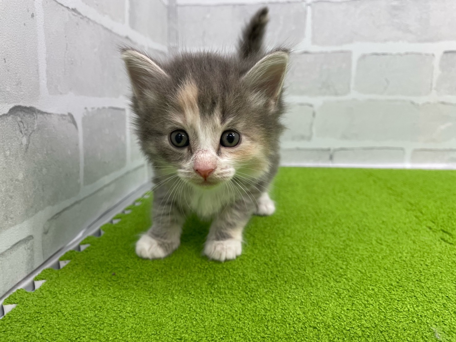 赤ちゃん写真2-1