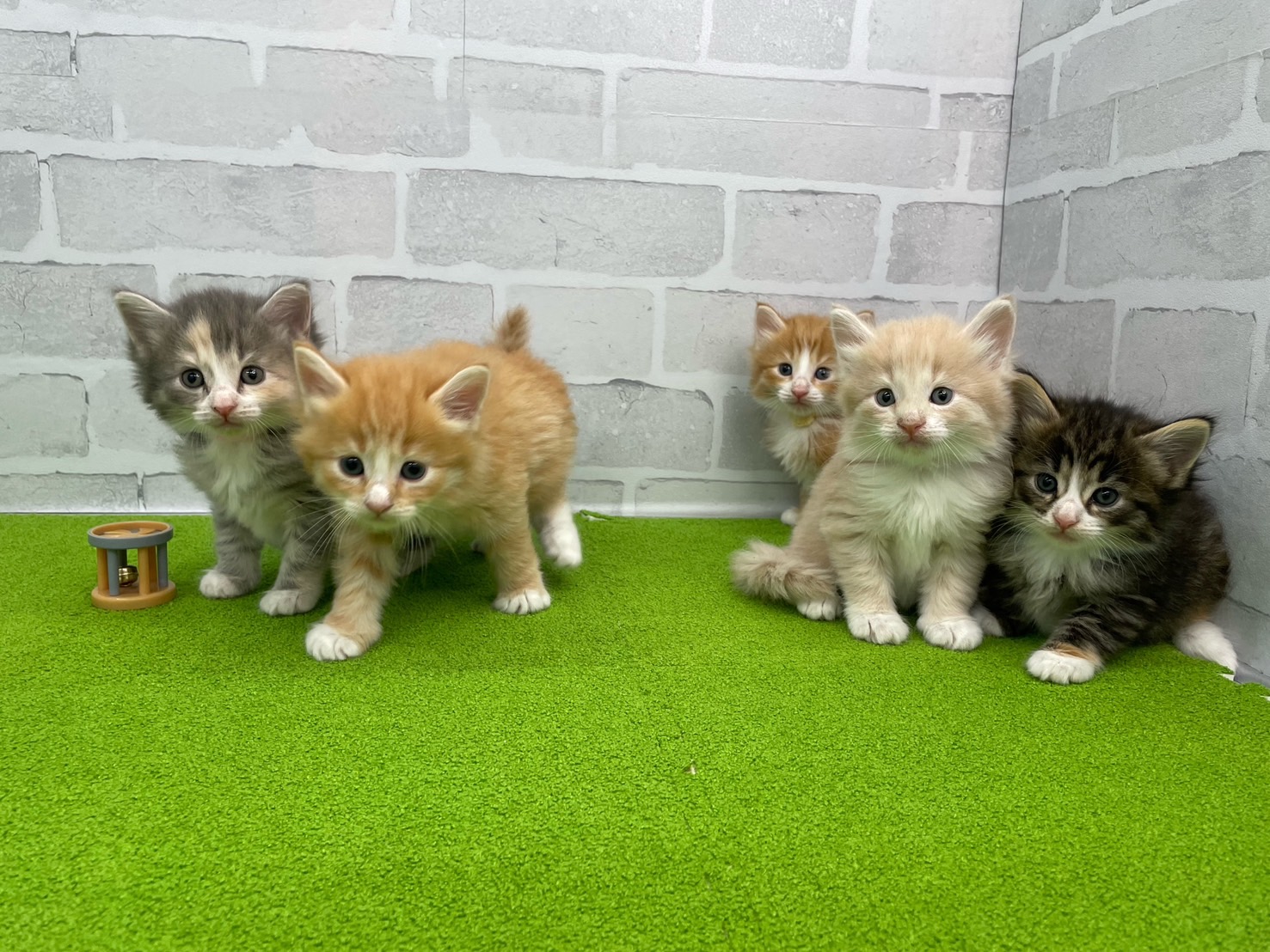 赤ちゃん写真2-3