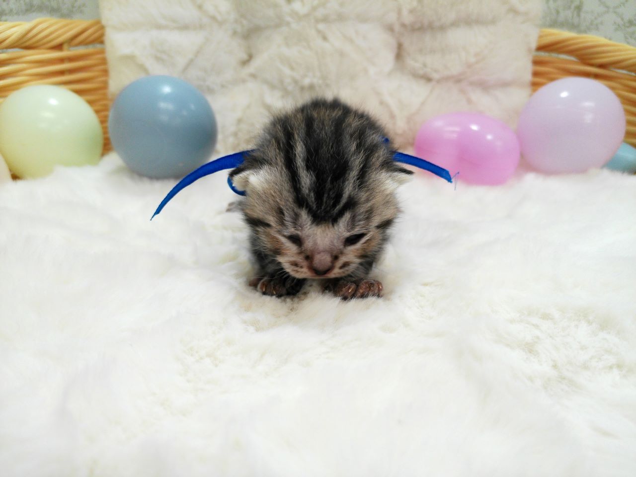 赤ちゃん写真1-1