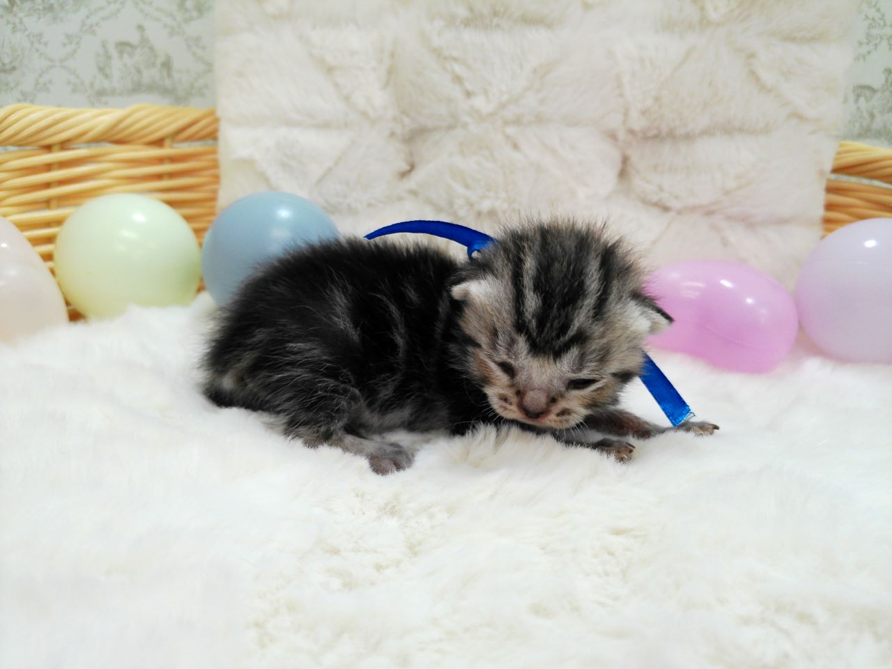 赤ちゃん写真1-2