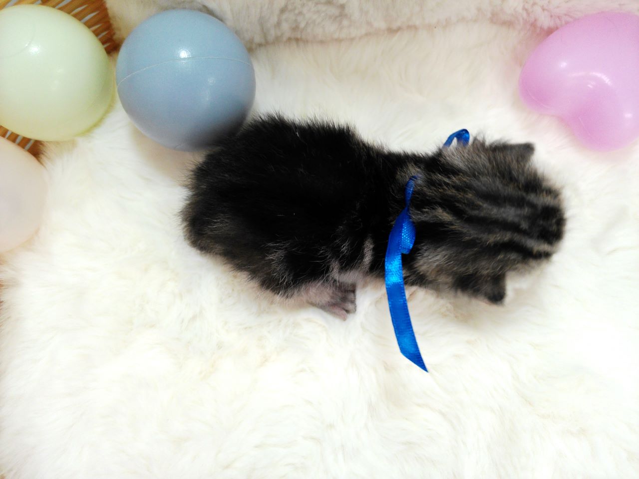 赤ちゃん写真1-3