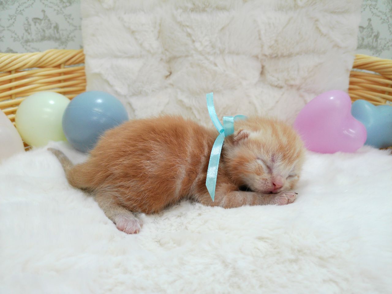 赤ちゃん写真1-2